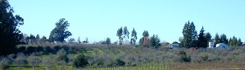 847ranchpanorama.jpg (45112 bytes) 